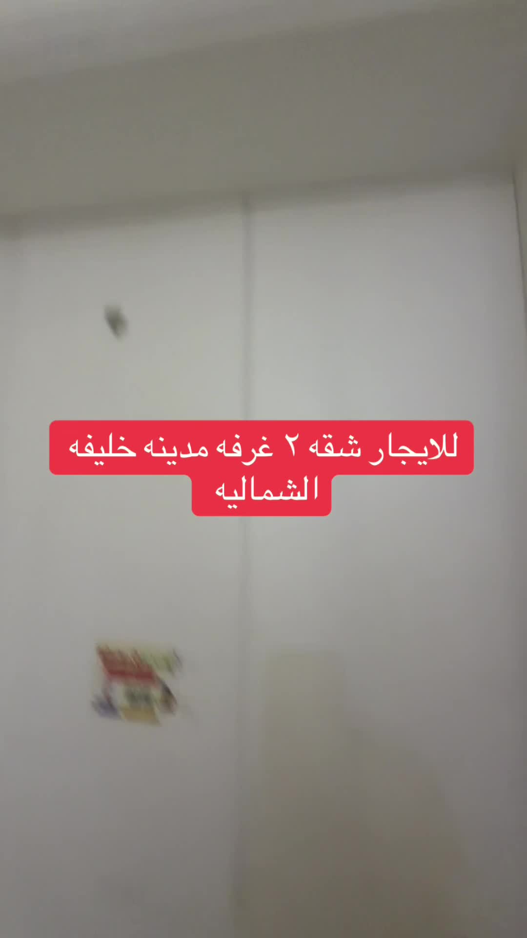 للايجار شقه مدينه خ الشماليه  - 1