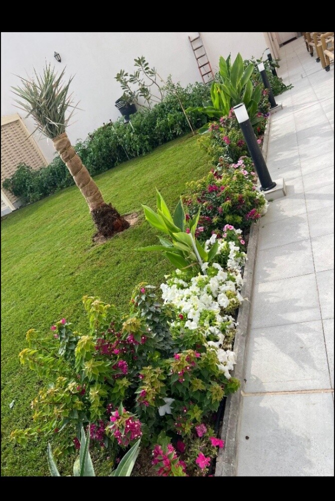 تنسيق الحدائق وزراعتها وتنظيفها - 2