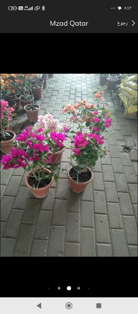 أحواض زراعه - 3