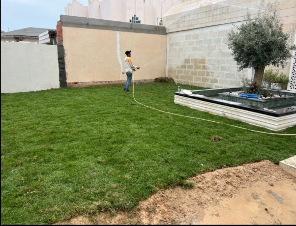 تنظيف الحدائق وترتيبها وقص الحشيش - 3
