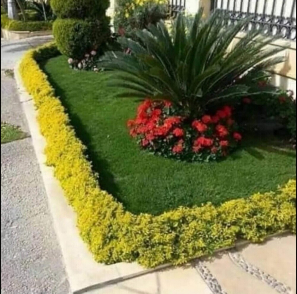 تنسيق وترتيب وزراعه الحدائق - 4