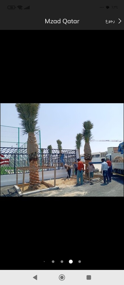 نخيل خدمات - 3