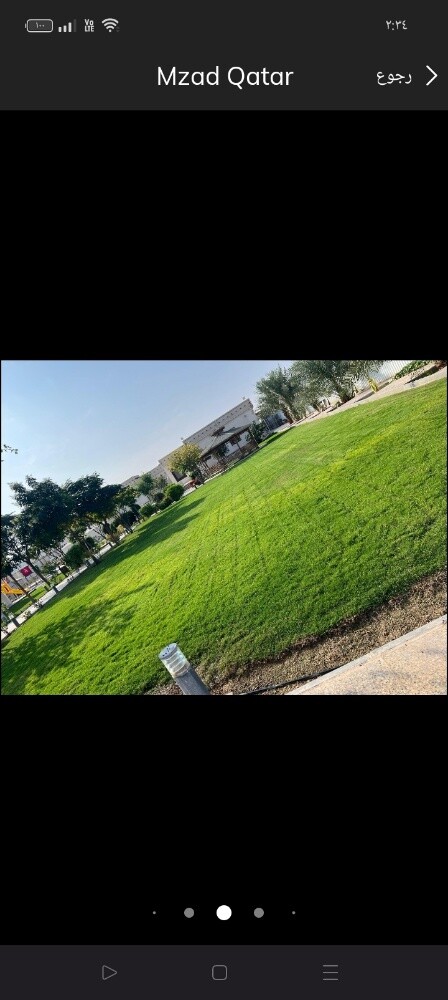 عشب طبيعي - 2