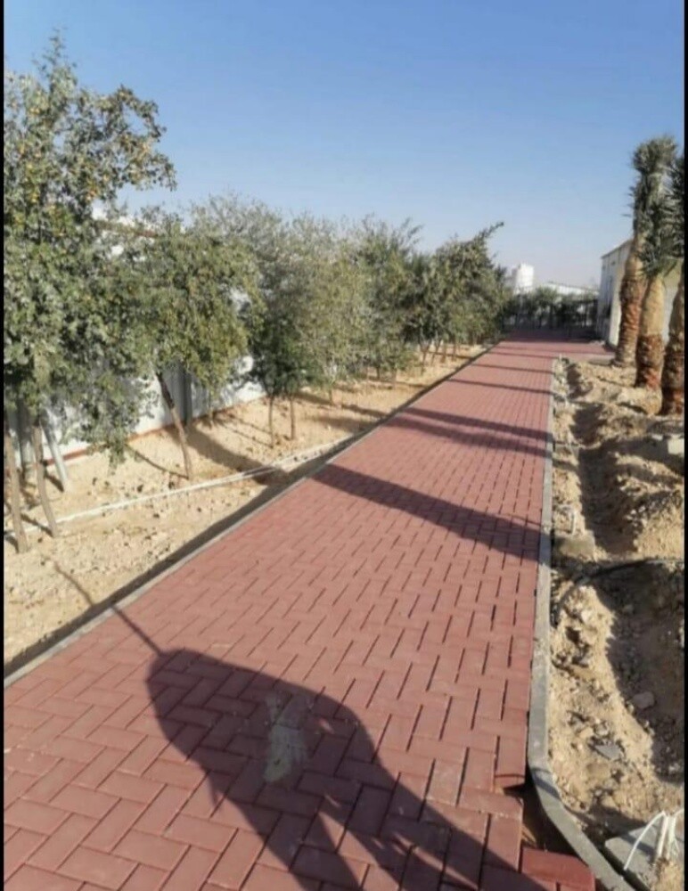 انترلوك وكربستون - 27