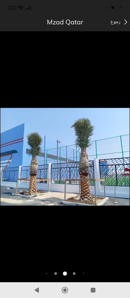 زراعه النخيل والزينه - 4