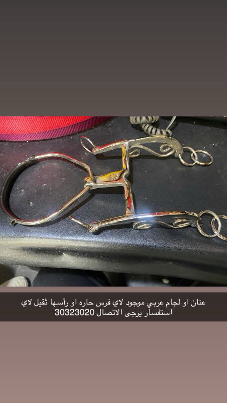 معدات خيول عربيه وانكليزيه للبيع  - 2