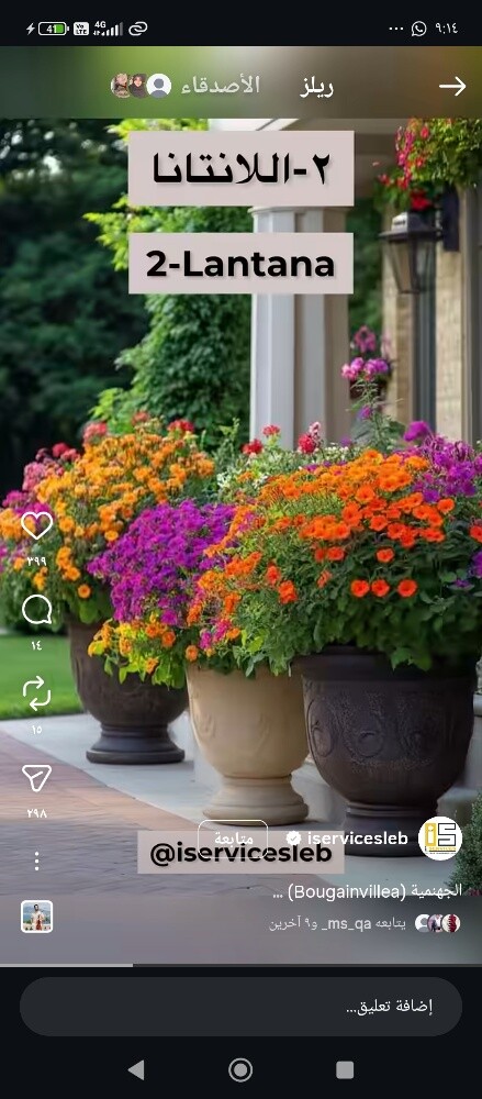 عقود شهريه لصيانه الحدائق - 3