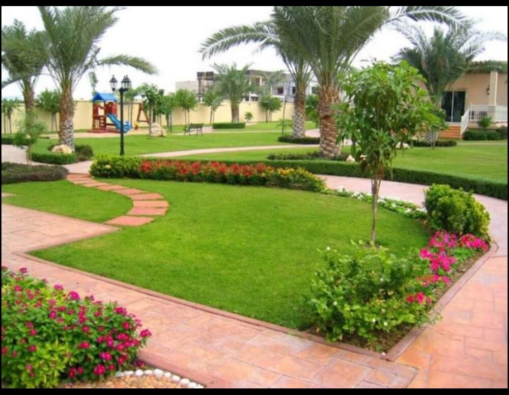 العنايه بالحديقة - 5