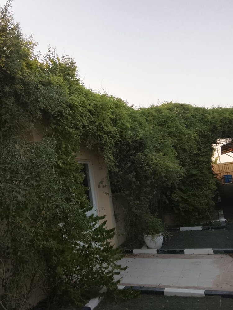 عزبه مرتبه للتنازل في سمسمه  - 2