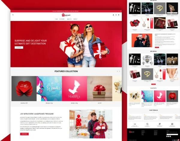 Website Development/ Ecom Website - 1