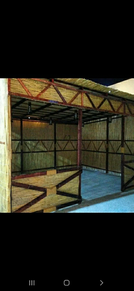 تنظيف النخيل والوشنطنيو - 8