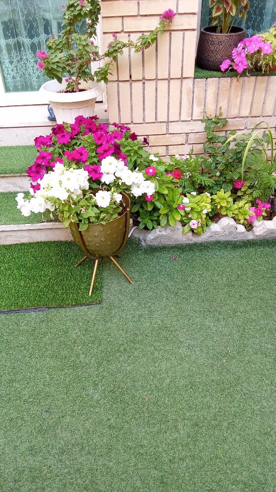 Balooshi Gardener - 25