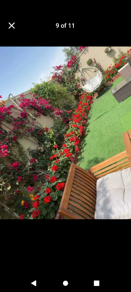 Balooshi Gardener - 20