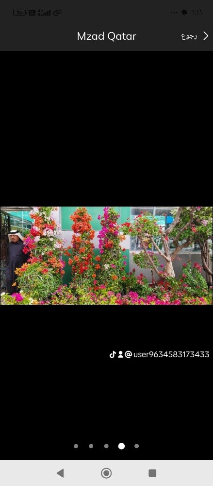 زراعه العشب والورود والنخيل والاش - 2
