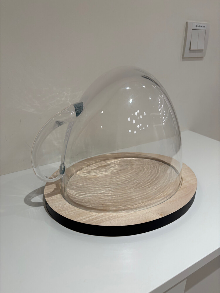 New Cake Holder From Home Center - 2