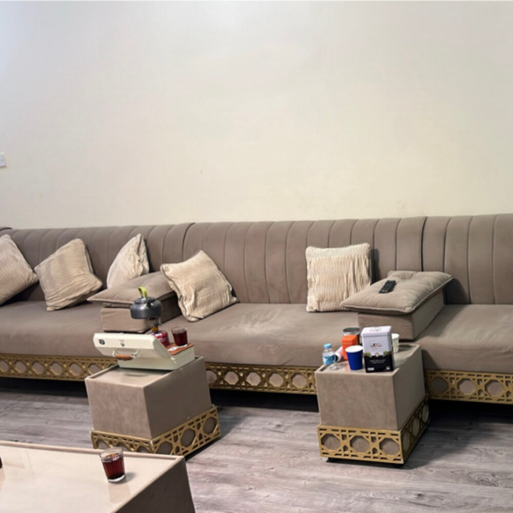 Elegant Modern Living Room - 1