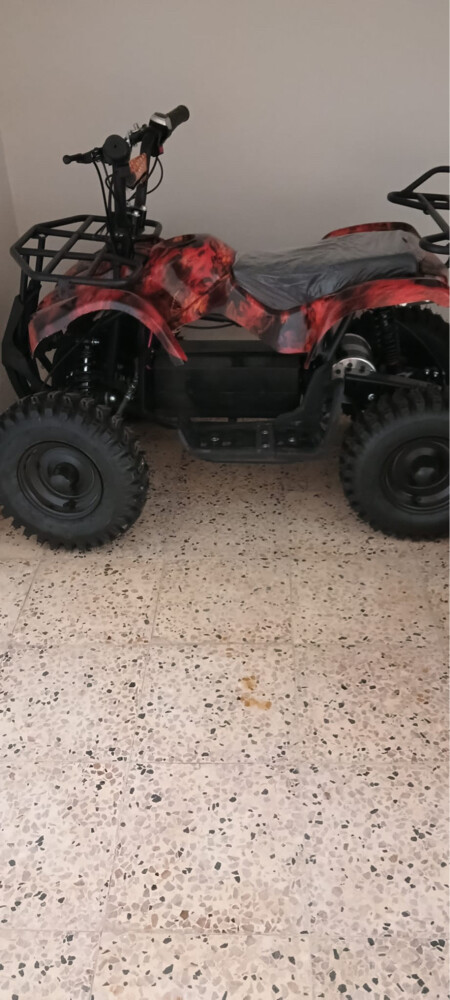 Electric quad bike  - 3