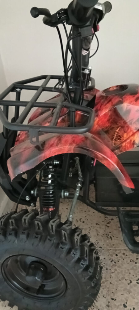 Electric quad bike  - 1