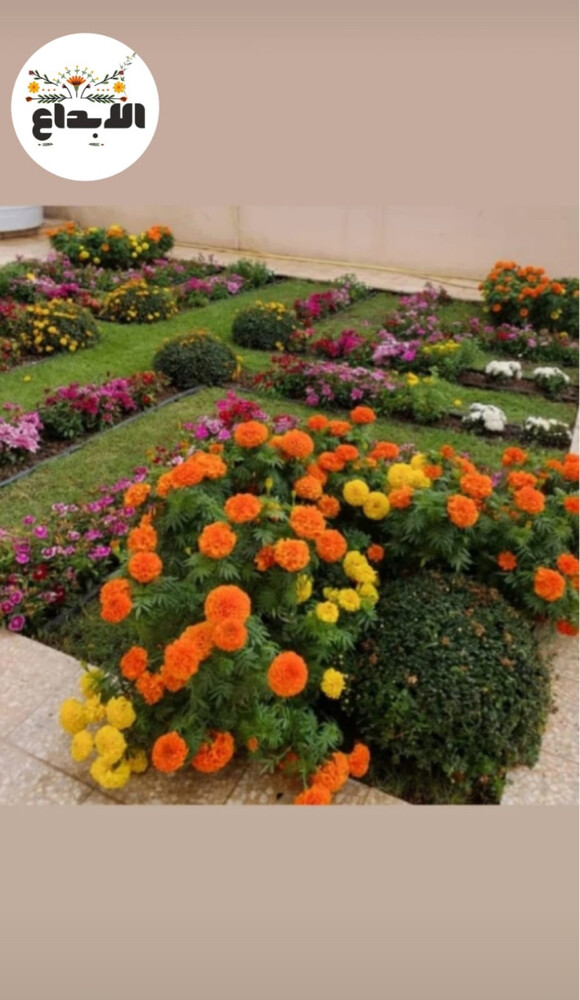 مزراع وتنسيق حدائق  - 12
