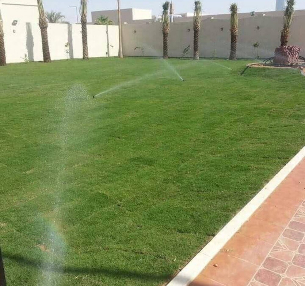 صيانة حديق - 9