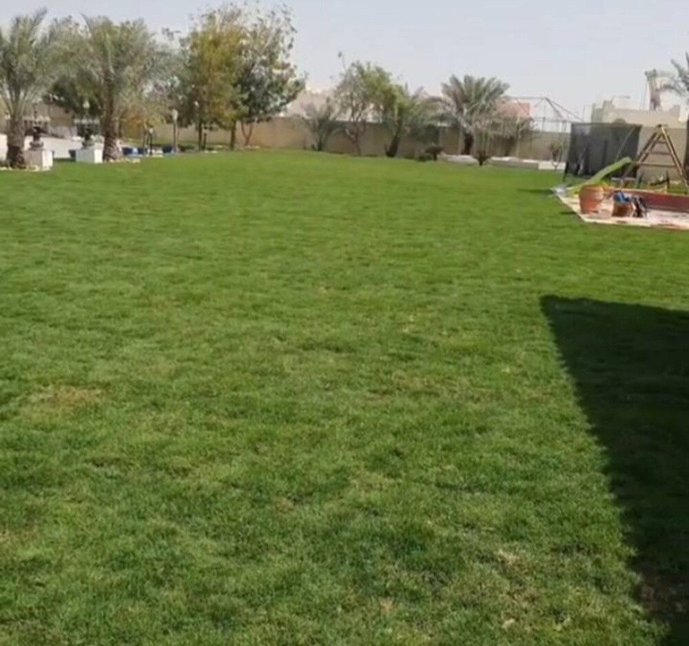 صيانة حديق - 11