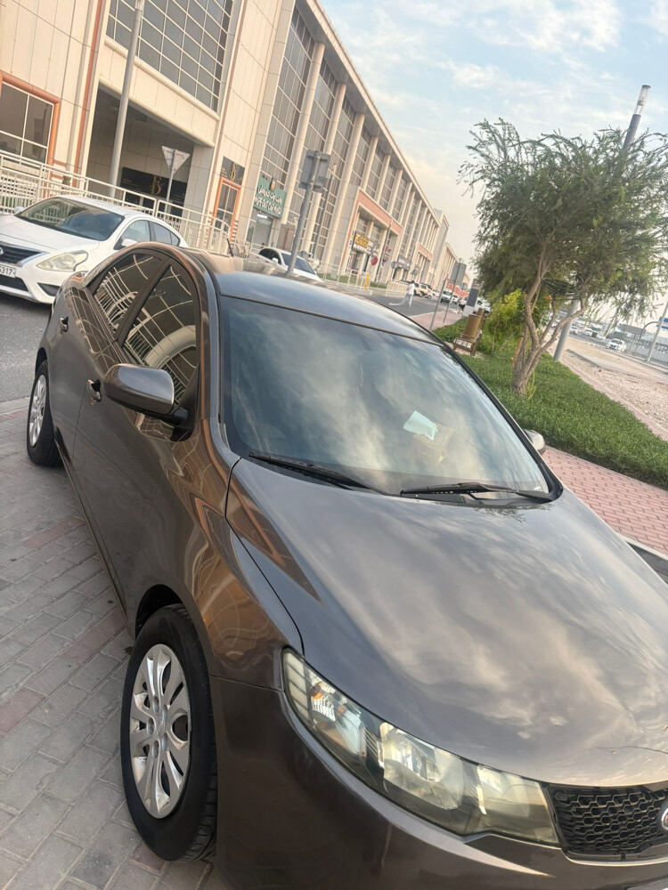 للبيع - 6