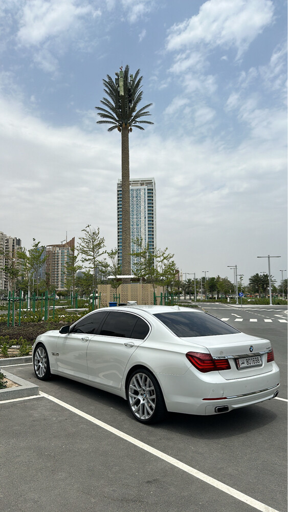 الصامل بخلصه  - 7