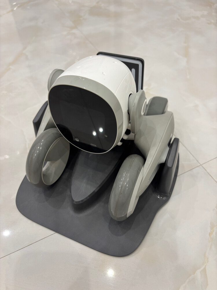 Loona robot - 3