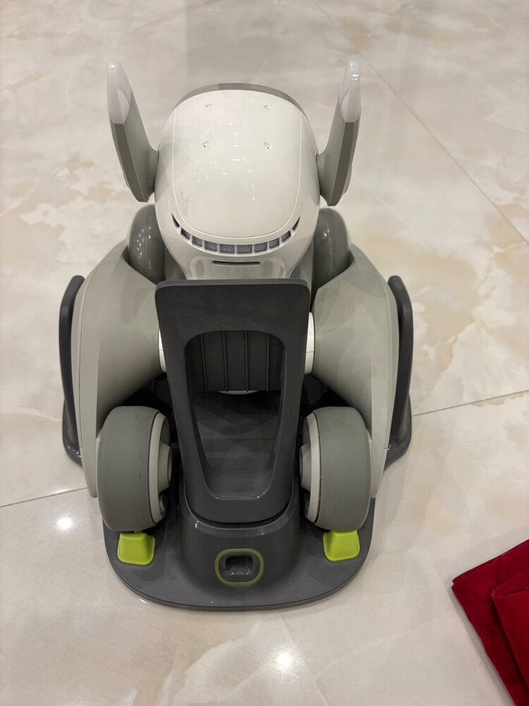 Loona robot - 2