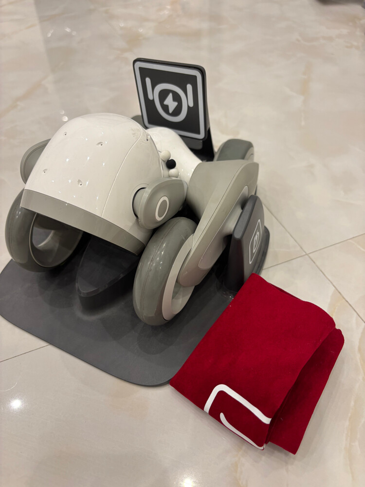Loona robot - 4