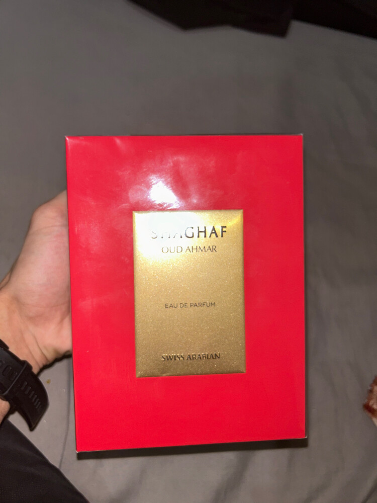 SHAGHAF OUD AHMAR - 2