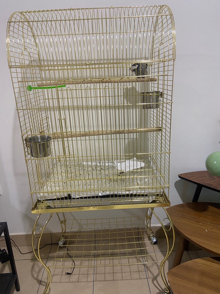 Bird cage for sale - 1