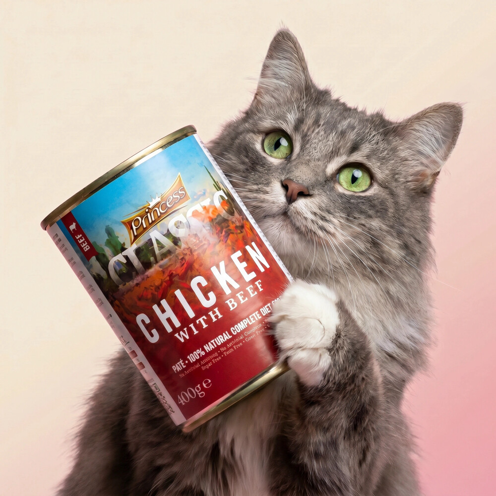 cat Wet Food - 6