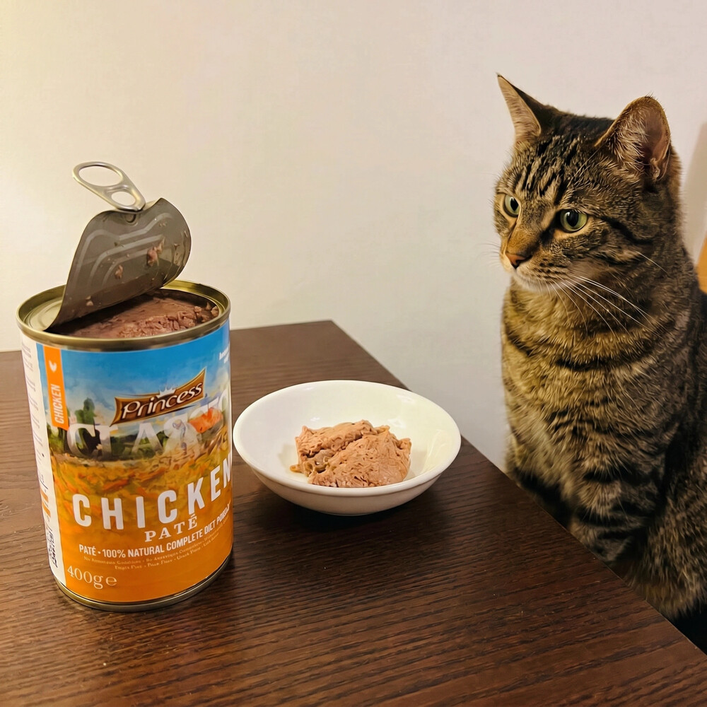 cat Wet Food - 2