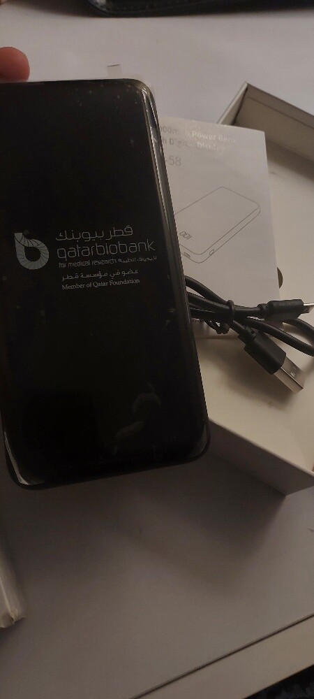باور بانك 2 - 2
