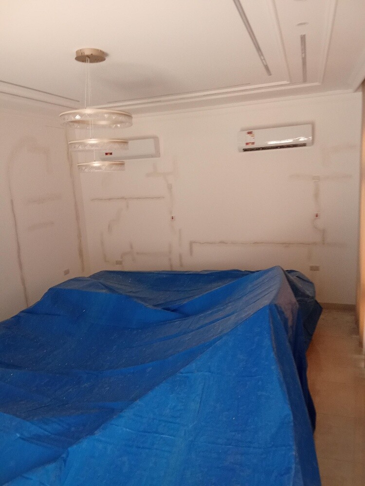 Professional Painting & Repair - 13