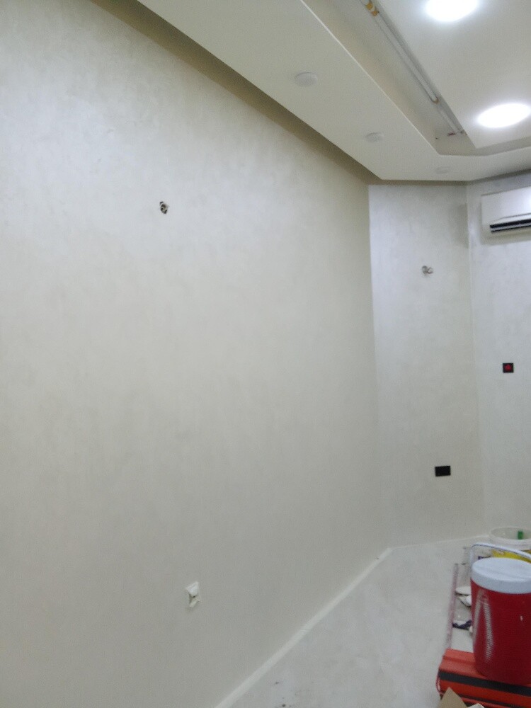 Professional Painting & Repair - 15