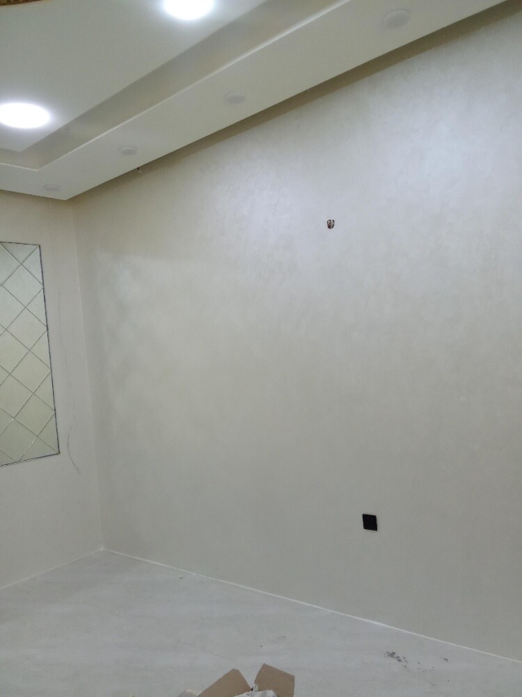 Professional Painting & Repair - 10