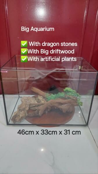 Big Aquarium with accessories - 3