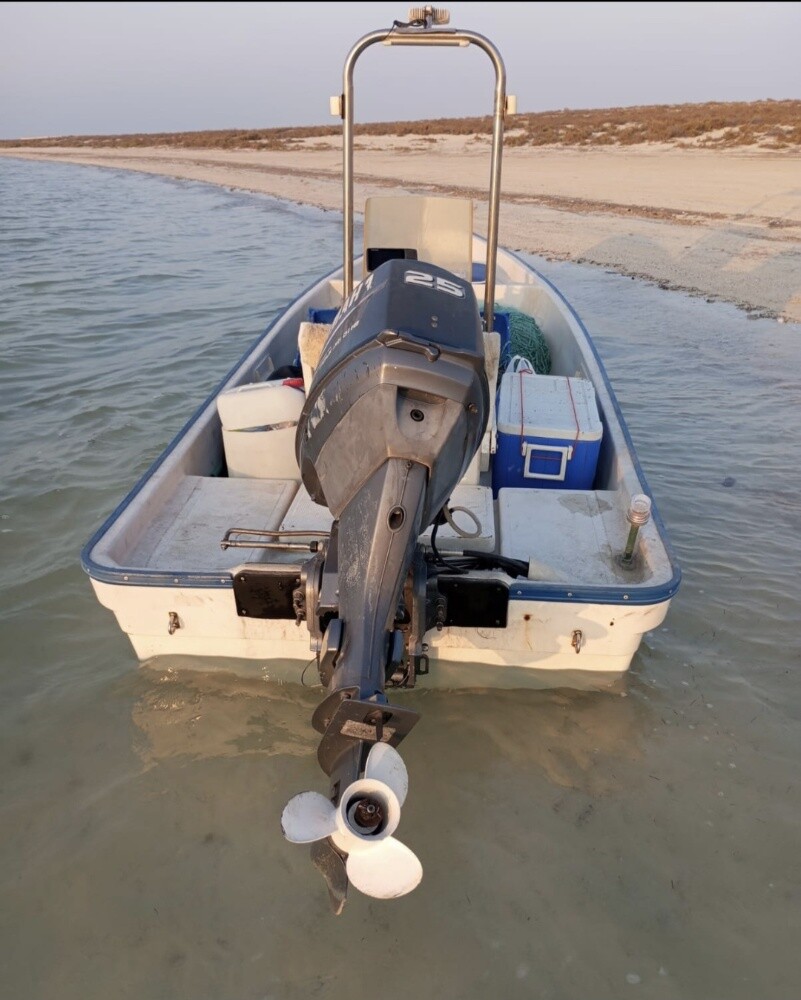 14 ft 25 yamaha 4stroke - 4