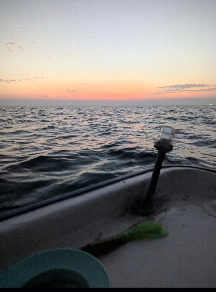 14 ft 25 yamaha 4stroke - 5