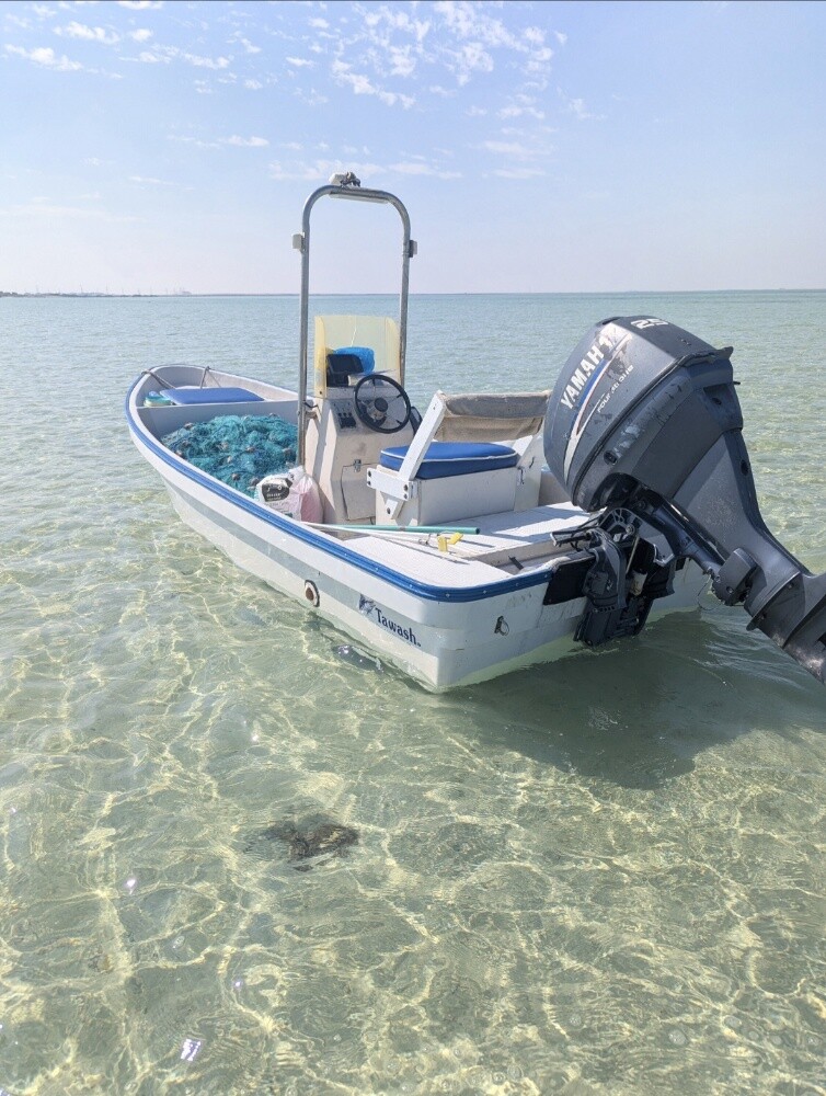 14 ft 25 yamaha 4stroke - 1