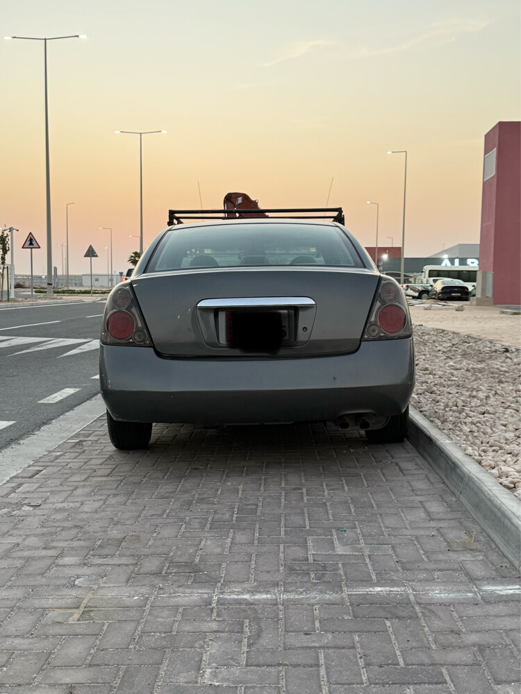 التيما للبيع - 4