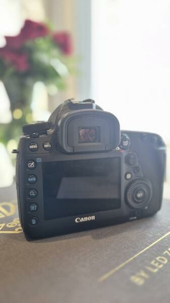 Canon 5D Mark 4 + 50mm 1.2 + 24-105 - 2