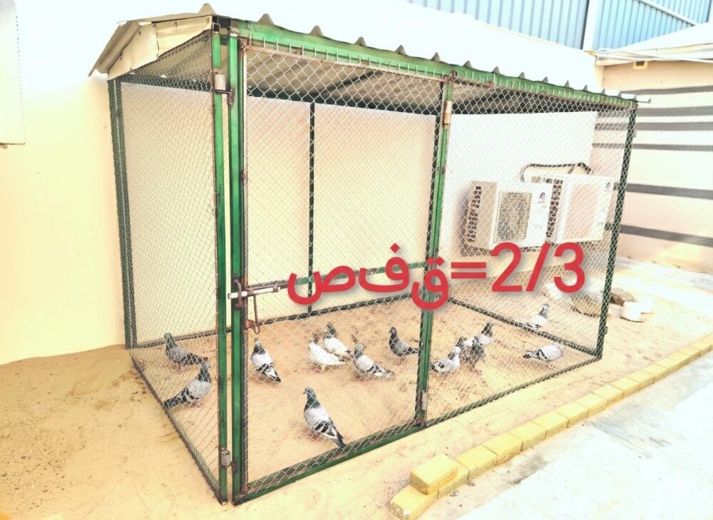 2/2 =قفص - 2