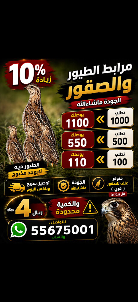 مرابط الصقور - 1