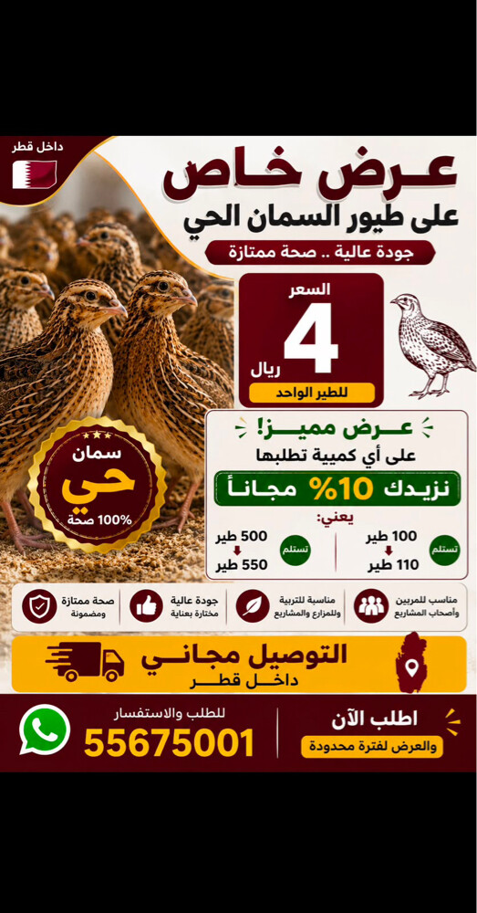 مرابط الصقور - 2