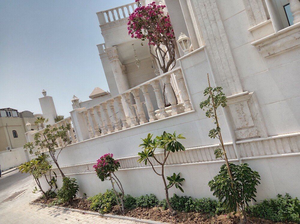 زراعه وديكور - 2