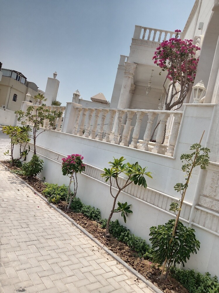 زراعه وديكور - 1
