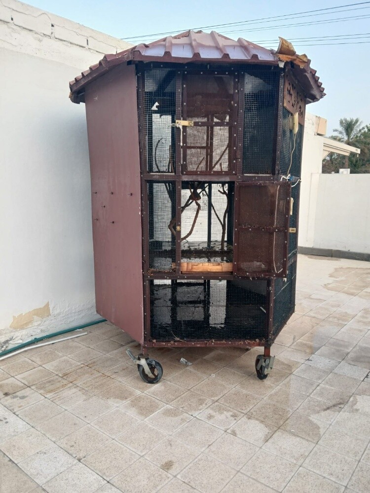 للبيع - 5